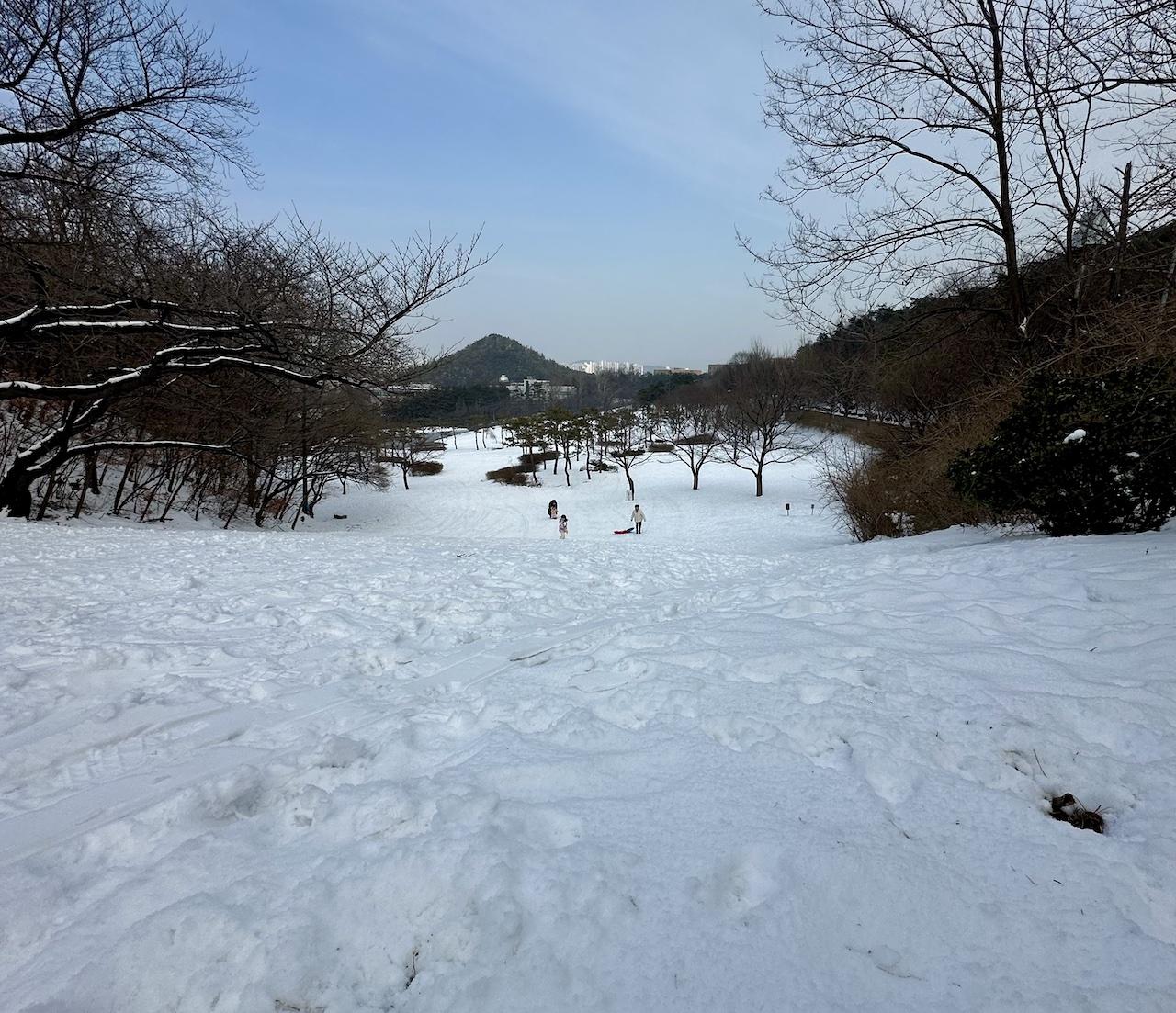 서울랜드 아니다. 서울대학교다.